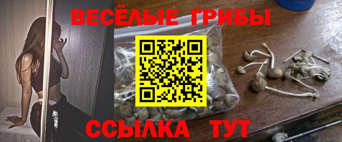 Галлюциногенные грибы Magic Shrooms Кировск